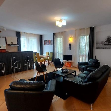 Apartament Roland ポイアナ・ブラショフ エクステリア 写真