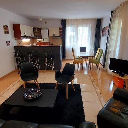 Apartament Roland ポイアナ・ブラショフ エクステリア 写真