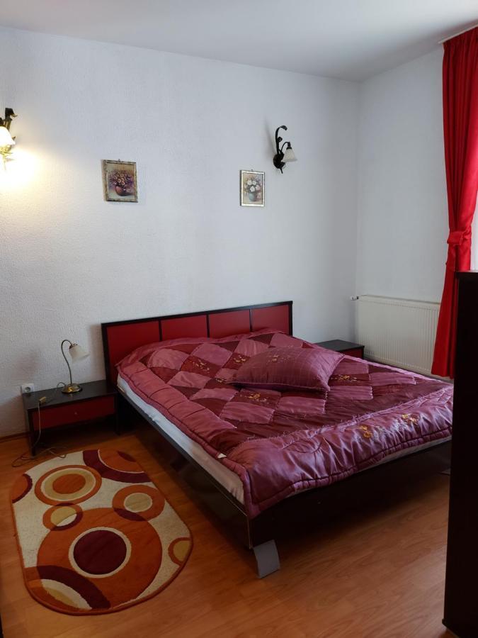 Apartament Roland ポイアナ・ブラショフ エクステリア 写真